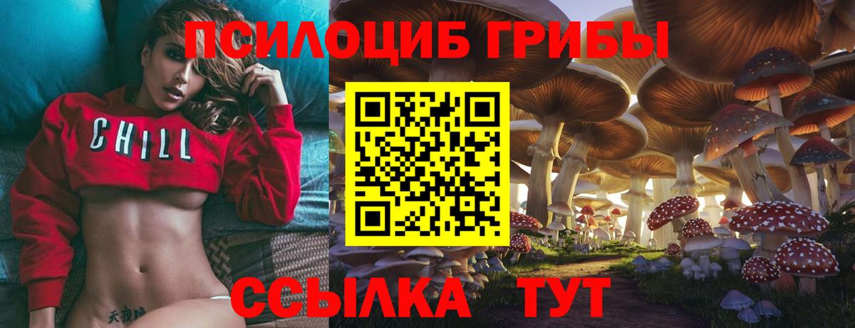 наркотики  Псилоцибиновые грибы GOLDEN TEACHER  Вход с VPN  Новозыбков  Галлюциногенные грибы Cubensis 